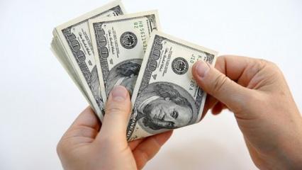 Finansal kesim dışındaki firmaların net döviz açığı şubatta arttı