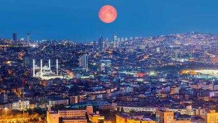 Geldin Canım Ama…