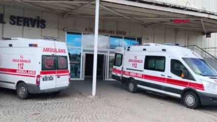 Kars'ta 'güzelavrat' otu yiyen 8 çocuk zehirledi