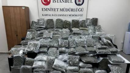 Maltepe'de petshop görünümlü depoya uyuşturucu baskını! Tam 100 kilo ele geçirildi