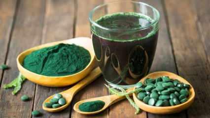 Protein şampiyonu Spirulina! Tüketenin kasları ve kemikleri beton gibi güçlü oluyor