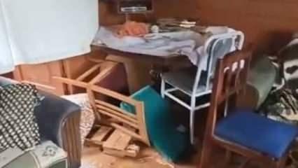 2 yıl içinde aynı eve 5. kez ayı girdi! Savaş alanına döndü...