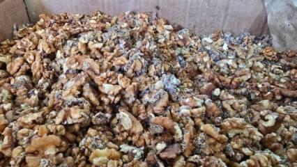 Deposunda 11 ton kurtlanmış ceviz çıkan baklava firmasından çelişkili açıklama! 