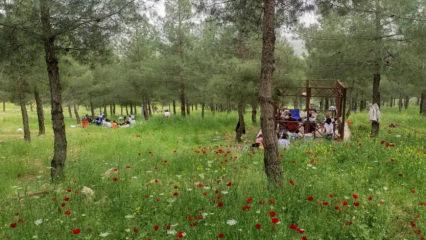 Aileler burayı çok sevdi! Daha açılmadan 10 binler akın etti