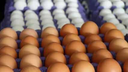 Yumurta üreticilerinden marketlere tepki: "Fiyatlar çıktığı hızda inmedi"