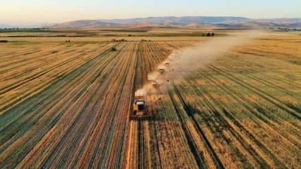 Çiftçilere yaklaşık 3,1 milyar lira destek ödemesi bugün yapılacak
