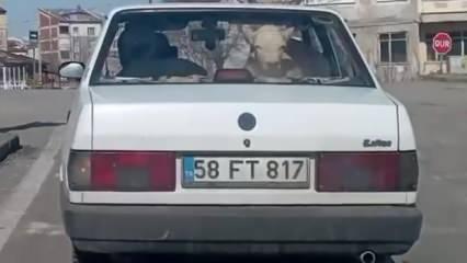 Yolda otomobilin içindekini görenler şaşkına döndü!
