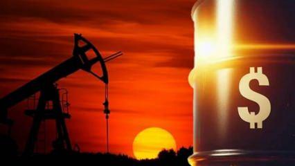 Petrol kaç dolar oldu?