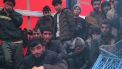 Sakarya'da tır dolusu düzensiz göçmen yakalandı: Sürücü tutuklandı