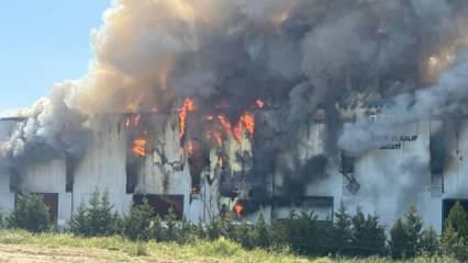 Son Dakika: Tekirdağ'da fabrika yangını! Üst üste patlama sesleri duyuldu