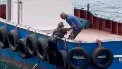 Kadın vapurdan düştü: Korku dolu anlar kameralara yansıdı!