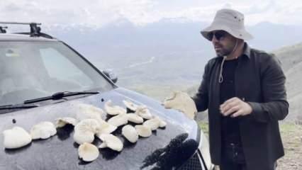 Dağda kendiliğinde yetilen bu mantar türünün fiyatı tartışma yarattı