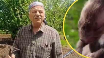 Çiftçinin sansarla diyaloğu gülümsetti: 'Sen buraya nerden geldin kız?'