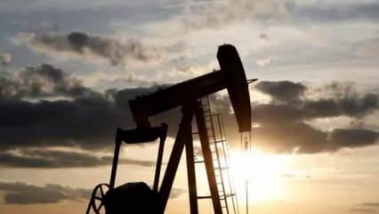 ABD 2025 petrol fiyatı tahminini düşürdü