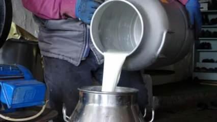 Ardahan'da süt üreticileri düşük fiyatlardan şikâyetçi