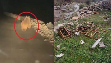 Arıcıların kabusu başladı: Kış uykusundan uyanan ayı 20 kovanı parçaladı!