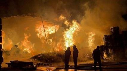 Bursa'da palet fabrikasında korkutan yangın
