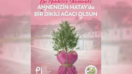 Hatay'da 'İyilik En Çok Annelere Yakışır' kampanyası