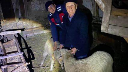 Jandarma kayıp hayvanlarını bulunca dünyalar onun oldu 