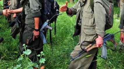 İşte terör örgütü PKK'nın aldığı 4 karar! Kongre toplanmıştı