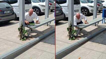 Batman'da panik anlar: Arıların toplandığı yeri görenler gözlerine inanamadı! 