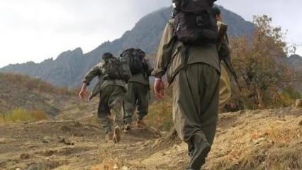 PKK kongresinin dünyadaki yankıları! Ünlü gazete "Tarihi karar" diyerek manşetine taşıdı