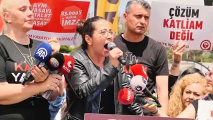 TİP'li Sera Kadıgil: Bütün köpekler adına sesleniyorum