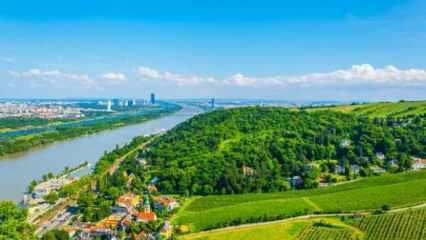 Tuna Nehri ve Kahlenberg Tepesi