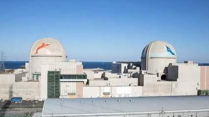 Güney Kore'nin elektrik üretiminde bir numara! 2024 yılına nükleer enerji damga vurdu!