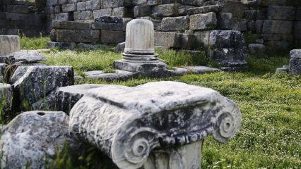 Binlerce yıllık ihtişam gün yüzüne çıkıyor: Çalışma başlatıldı