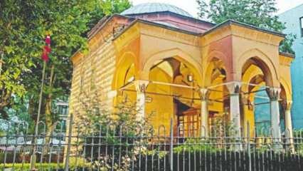 Hiç Yoktan Bir Eser / Köprülü Kütüphanesi Esrârı değerlendirmesi: Defineye mâlik viraneler