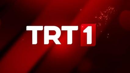 Kimse 'final' kararını beklemiyordu! TRT1, o diziyi yayından resmen kaldırıyor