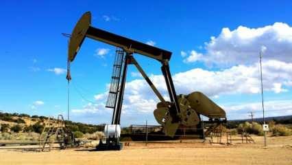 OPEC'in ham petrol üretimi nisanda günlük 62 bin varil azaldı