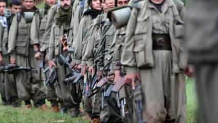 PKK elebaşlarına ne olacak? Sürecin içindeki isim konuştu