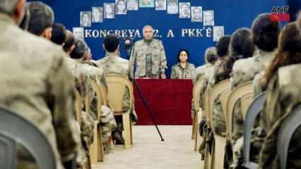 PKK'nın feshi ardından dünyada terör tasfiye örnekleri dikkat çekti!