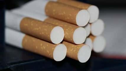Sigara İran’da her yıl 70 bin can alıyor!