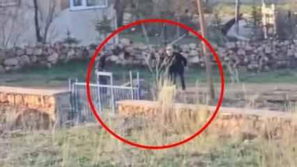 Sivas'taki görüntüler vicdanları sızlatmıştı: Sopayla dövülen eşek öldü! 