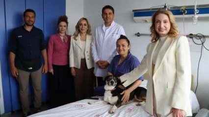 Kanser hastalarına sokak köpeği ziyareti tepki çekti