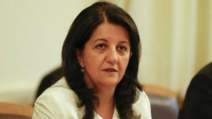 Son Dakika: DEM Parti heyeti İmralı Adası'na gitti!