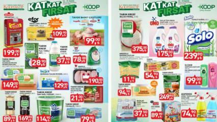 Tarım Kredi Market'ten cüzdanlara nefes aldıracak haber! Fiyatlar geri çekildi
