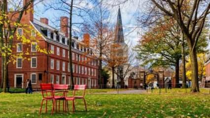 Harvard’tan Trump’a dava! Üniversite federal mahkemeye başvurdu