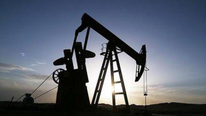 ABD'nin petrol sondaj kulesi sayısı azaldı