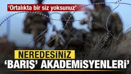 Neredesiniz “Barış Akademisyenleri”?