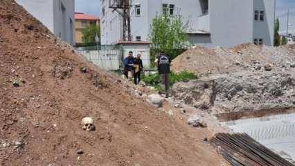 Okul inşaat kazısından insan kafatası ve kemikler çıktı