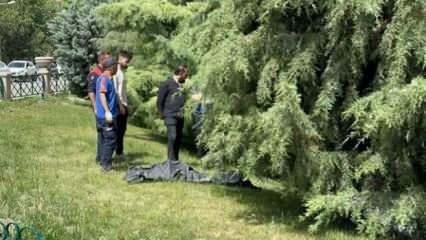 Porsuk Çayı'nda ceset bulundu