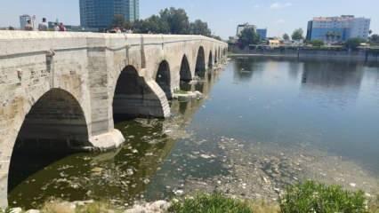 Seyhan Nehri'ndeki kirlilik İzmir Körfezinden bile beter! 