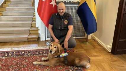 Asrın felaketinde 18 kişiyi kurtaran köpek hayatını kaybetti