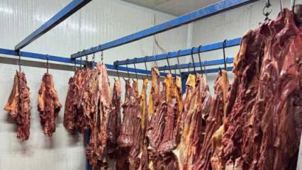 Adana'da tonlarca bozulmuş tek tırnaklı hayvan eti ele geçirildi! 
