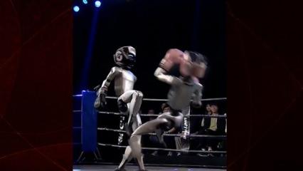 İnsansı robotların boks maçı dünya gündeminde