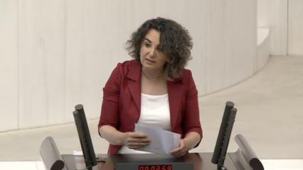 DEM Partili vekilden ‘LGBT’lilerin hormon ilaçlarını devlet karşılasın’ çağrısı